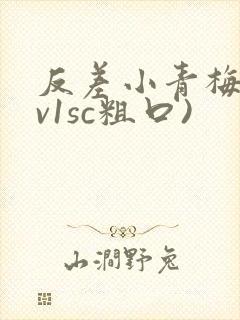 反差小青梅(1v1sc粗口)