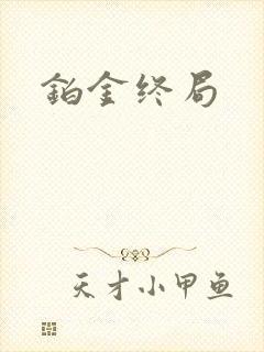 铂金终局