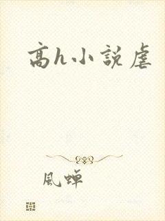 高h小说虐