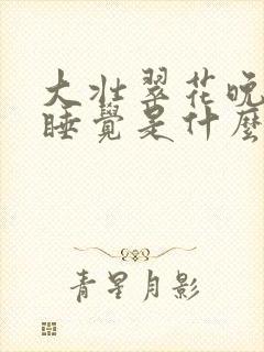大壮翠花晚上不睡觉是什么电视剧