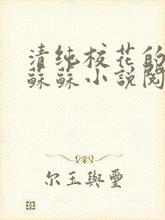 清纯校花的日常苏苏小说阅读全文