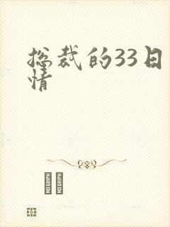 总裁的33日索情