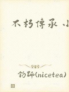 不朽传承 小说