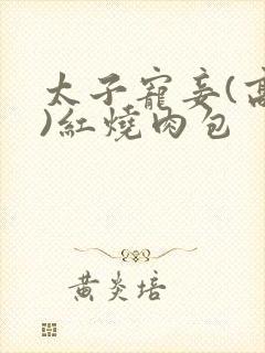 太子宠妾(高肉)红烧肉包封面