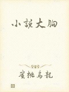 小说大胸