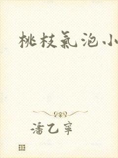 桃枝气泡小说封面