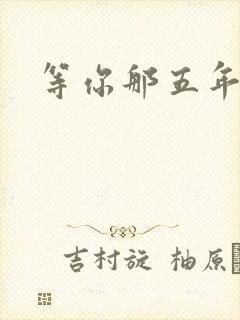等你那五年