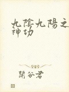 九阴九阳之阴阳神功封面