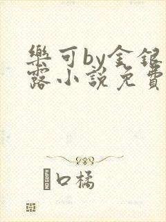 乐可by金银花露小说免费阅读封面