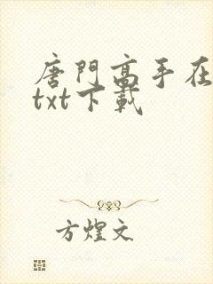 唐门高手在异世txt下载