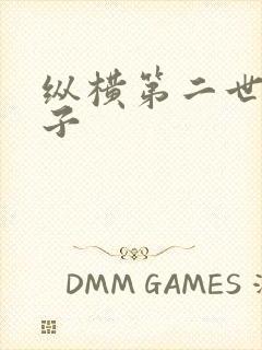 纵横第二世界宽子封面