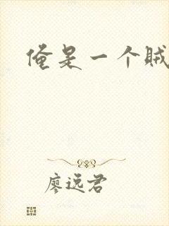 俺是一个贼封面
