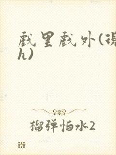 戏里戏外(现场h)