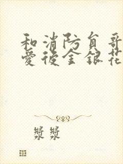 和消防员哥哥恋爱后金银花趣笔阁封面