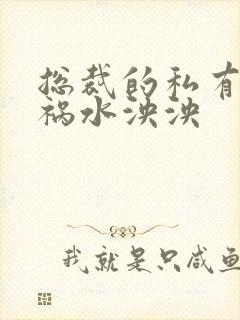 总裁的私有宝贝祸水泱泱