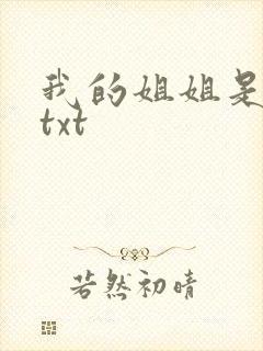我的姐姐是美女txt