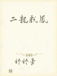 二龙戏凤