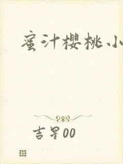蜜汁樱桃小说封面