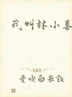 我叫林小喜17