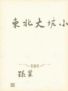 东北大坑小说