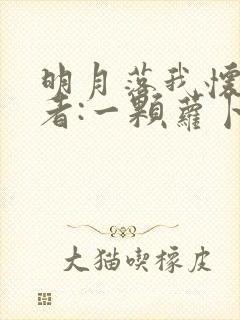 明月落我怀 作者:一颗萝卜