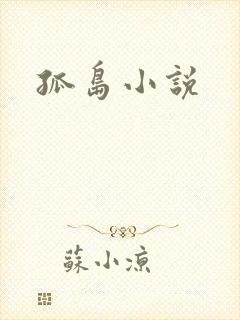 孤岛小说封面