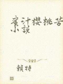 蜜汁樱桃苦咖啡小说封面