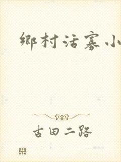 乡村活寡小说封面