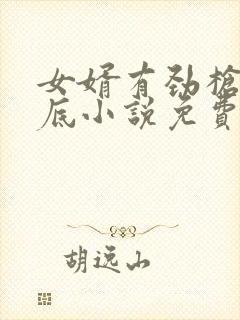 女婿有劲枪枪到底小说免费阅读封面