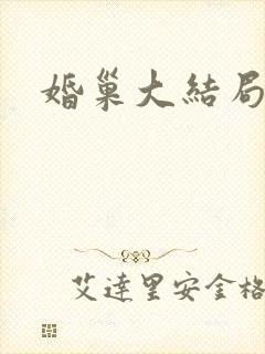 婚巢大结局封面