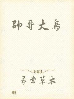 帅哥大鸟