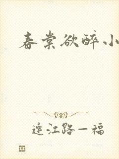 春棠欲醉小说