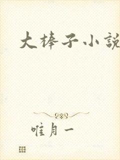 大棒子小说