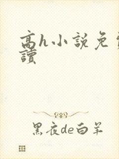 高h小说免费阅读