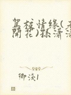 驾校情缘(老树开花)孙潇潇笔趣阁封面