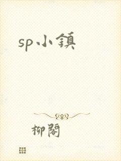 sp小镇封面