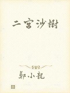 二宫沙树