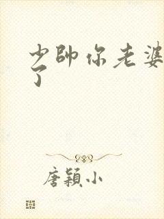 少帅你老婆又跑了封面