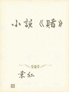 小说《赌》