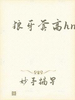 狼牙套高hnp