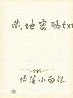 藏地密码txt