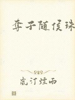 夺子随侯珠