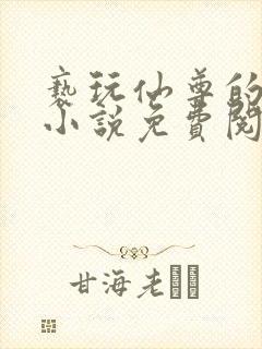 亵玩仙尊的道侣小说免费阅读