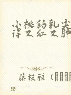 小桃的乳尖被吸得又红又肿