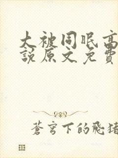 大被同眠高粱小说原文免费阅读