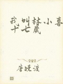 我叫林小喜今年十七岁