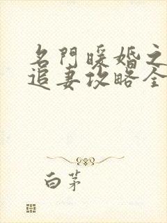 名门暖婚之权爷追妻攻略全文免费阅读封面