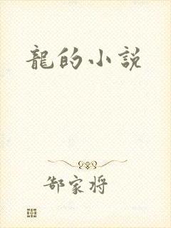 龙的小说