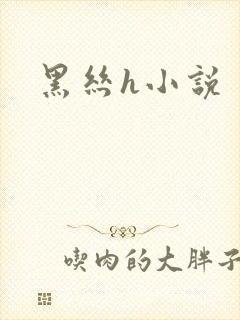 黑丝h小说