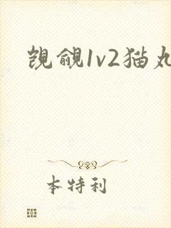 觊觎1v2猫丸封面
